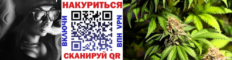 Канабис OG Kush  Себеж 